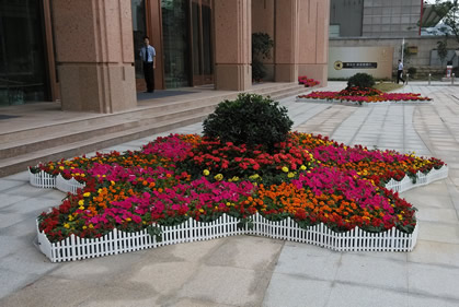 售樓部花卉租擺