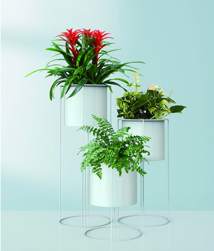 室內(nèi)租賃組合花箱