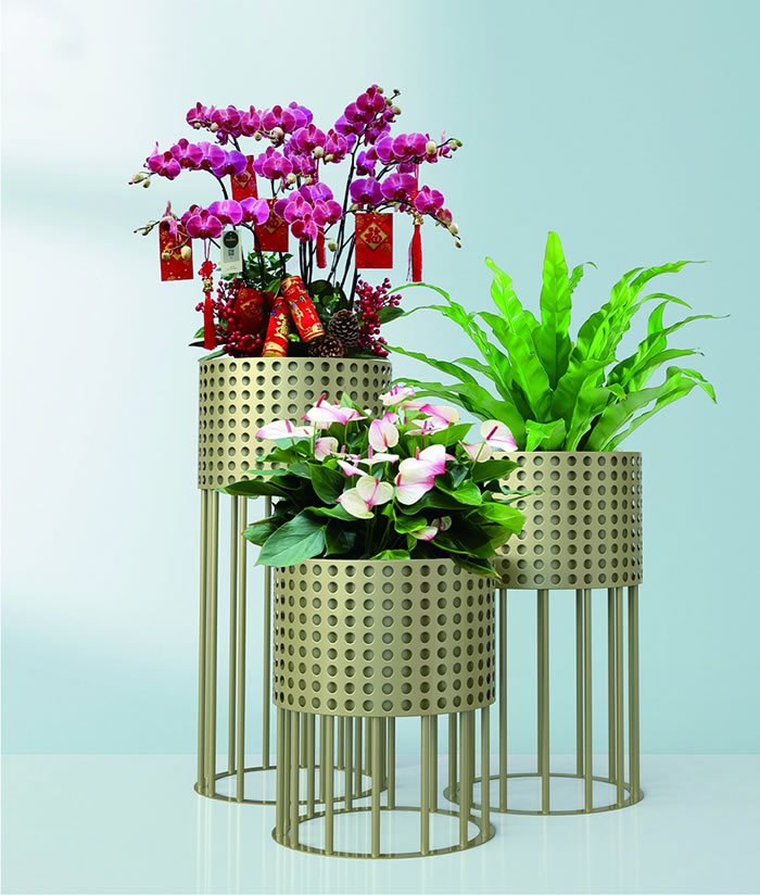 室內(nèi)租賃組合花箱