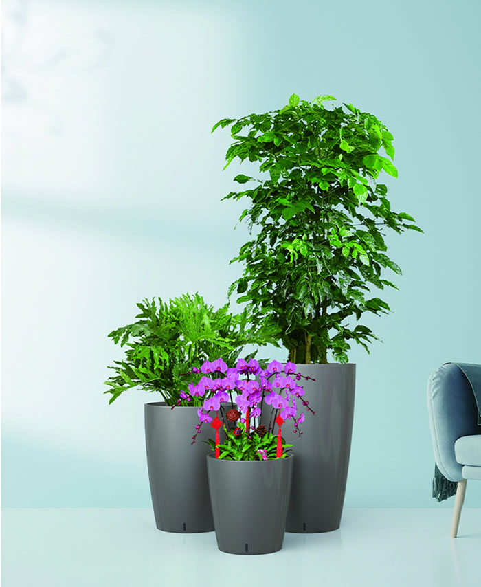 室內(nèi)租賃組合花箱