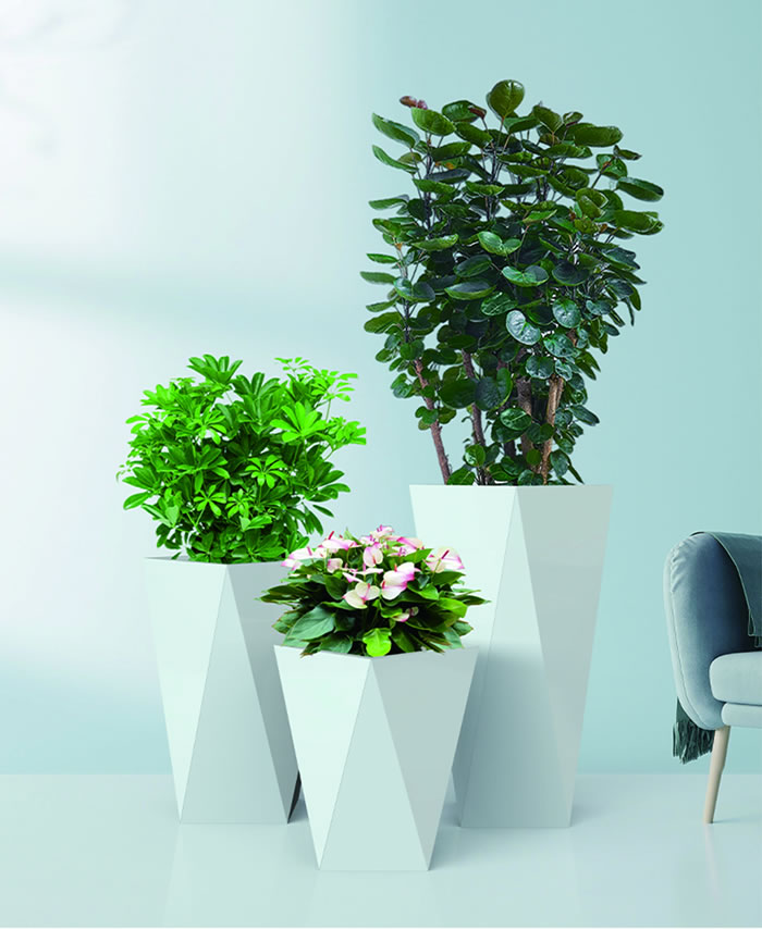 室內(nèi)租賃組合花箱