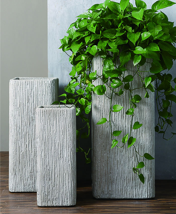 室內(nèi)租賃組合花箱