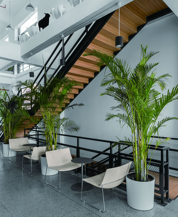 室內(nèi)租賃組合花箱