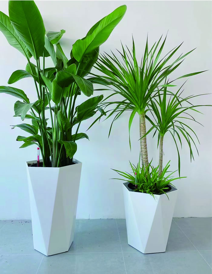 室內(nèi)租賃組合花箱